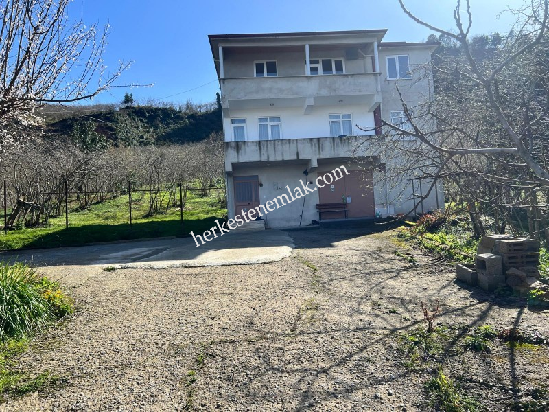 Giresun Merkez Alınca K&ouml;y&uuml;n'de Satılık 16 D&ouml;n&uuml;m Fındık Bah&ccedil;esi ve Ev