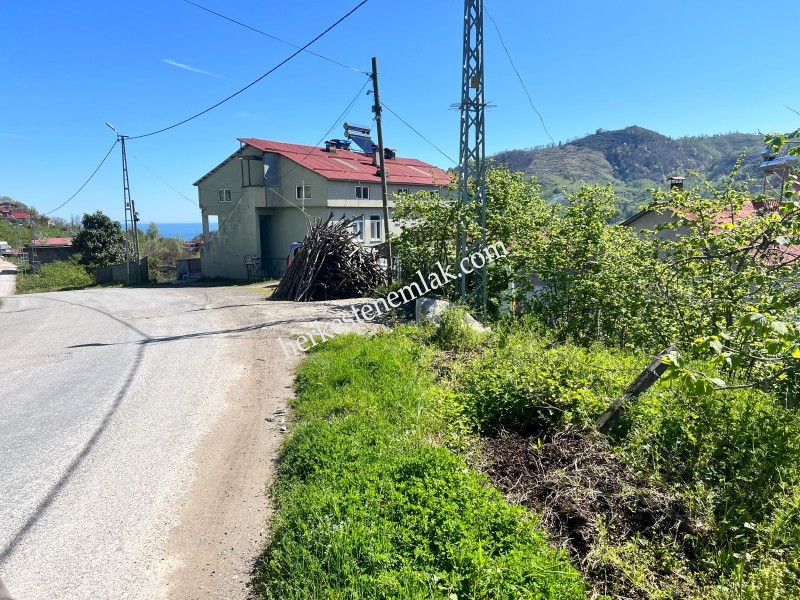 Giresun Merkez Boztekke K&ouml;y&uuml;'nde 7182 m2 Anayola Cephe Satılık Fındık Bah&ccedil;esi
